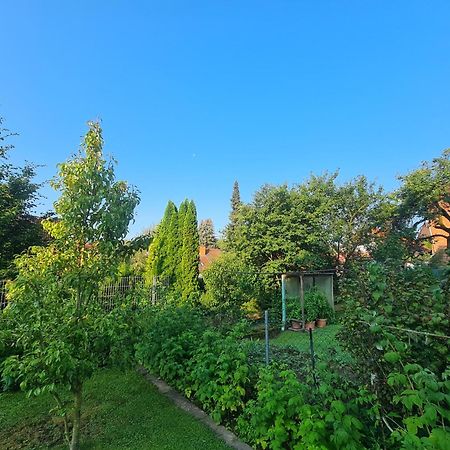 Suedharzperle Apartment Бад Лаутерберг Екстериор снимка