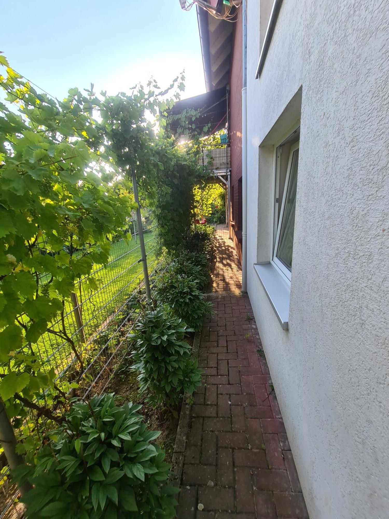 Suedharzperle Apartment Бад Лаутерберг Екстериор снимка